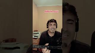 Meş Ordekê - Dilbirîn Azîzî - Ji Sitranên .H. Seîd Yûsif Resimi