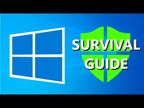 Руководство по выживанию в Windows 10 (2025)