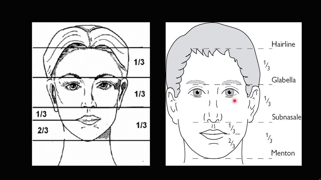 Orthodontics - Treatment of Vertical Discrepancy - Open Bite and Deep Bite