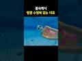 멀리서도 잘 보임. 버디가 바로 찾을 수 있음👀 너무 빛나서 조금 부끄럽기도,,,