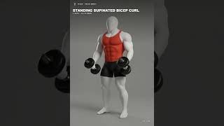 VISOR — Bicep Day: Standing Curl + Cable Curl + Barbell Narrow