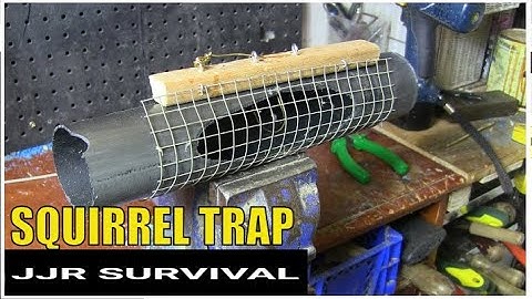SQUIRREL TRAP