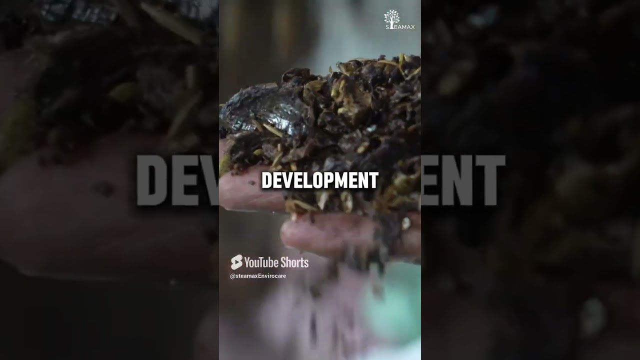 Steamax  Advancing Biomass, Engineering the Future 