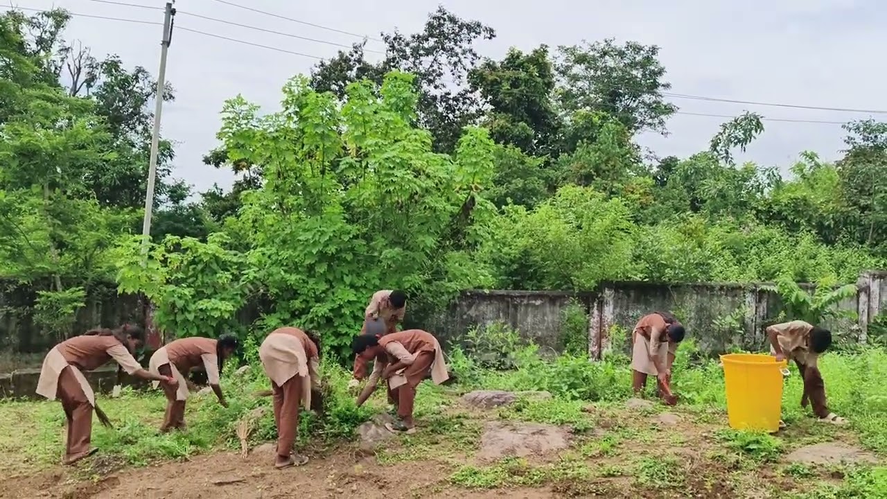 Play Ground & School Campus Cleaning 