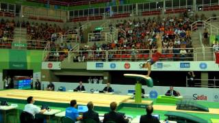 DALTON Jacob (USA) - 2016 Olympic Test Event, Rio (BRA) - Apparatus Final Vault 2