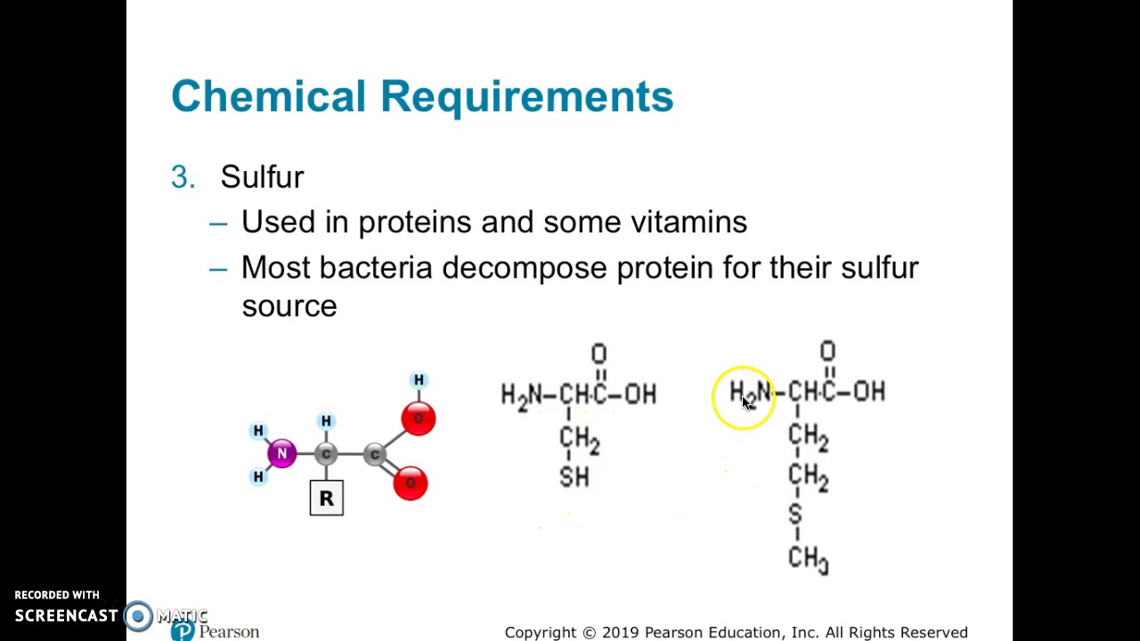 Chemical Requirements for Microbial Growth YouTube