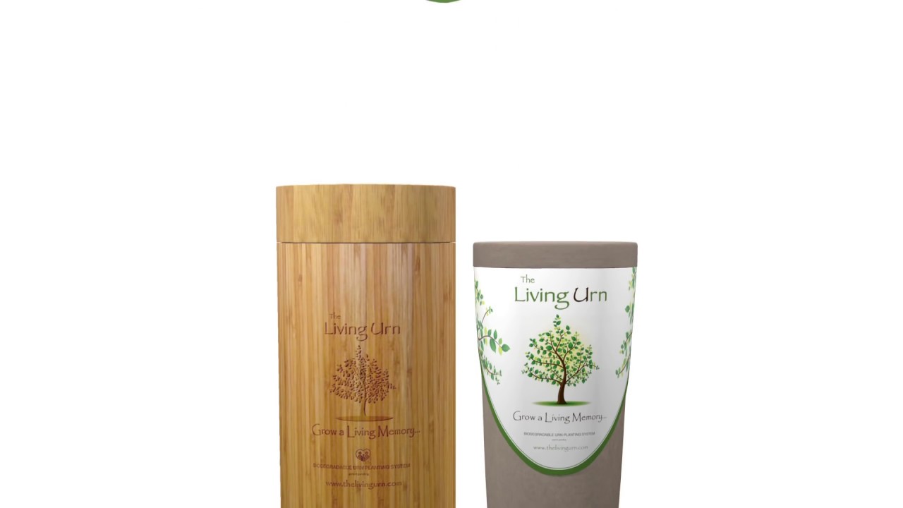 The Living Urn Grow a Living Memory Tree from Your Loved One's