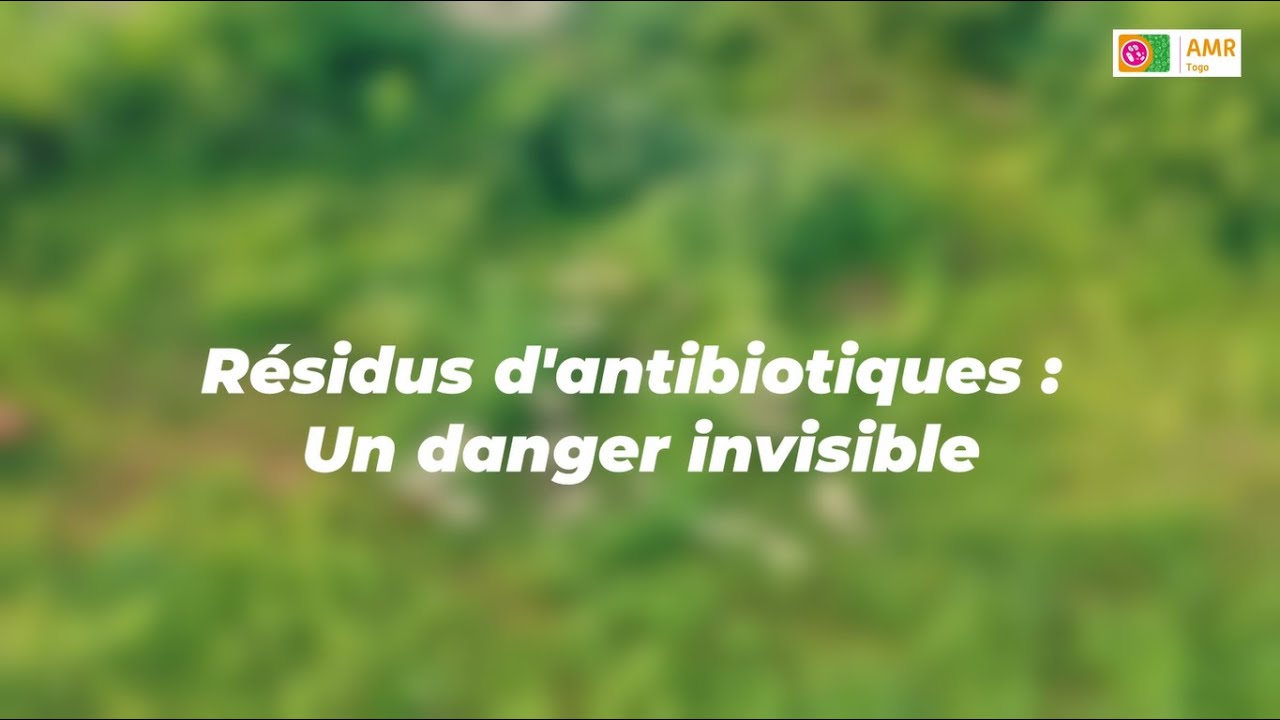 Les antibiotiques donnés aux animaux d’élevage, un risque pour la santé des consommateurs ?