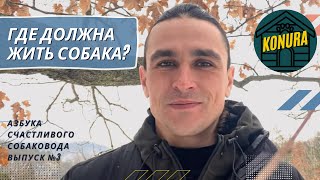 видео: Где должна жить собака? Азбука счастливого собаковода. Выпуск 3 картинка: Где должна жить собака? Азбука счастливого собаковода. Выпуск 3