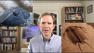 Junk Part VI: “Primitive” Structures = Junk Science