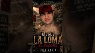 Luis Mario vasquez Altamirano 💯💯