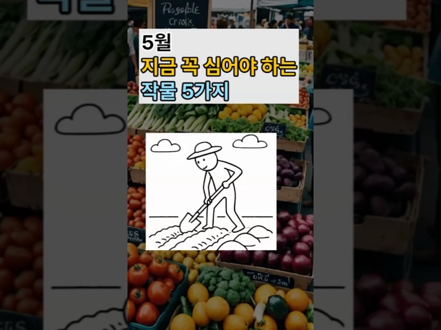 5월 중순, 지금 꼭 심어야 하는 작물 5가지