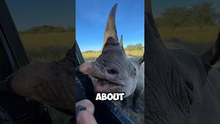 “Weird Animals That Could Go Extinct by 2030 😢”~#shorts
