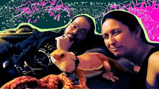 KingCobraJFS - Queen Jessica Returns to Casper
0:27 NAL traveling
7:38 Josh and NAL in Casper KingCobraJFS - Queen Jessica Returns to Casper