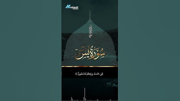 سورة يس بصوت يلامس القلوب | تلاوة مؤثرة للقارئ حمزة بوديب 💖