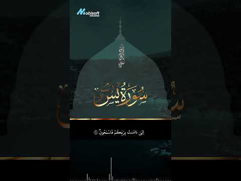 سورة يس بصوت يلامس القلوب تلاوة مؤثرة للقارئ حمزة بوديب