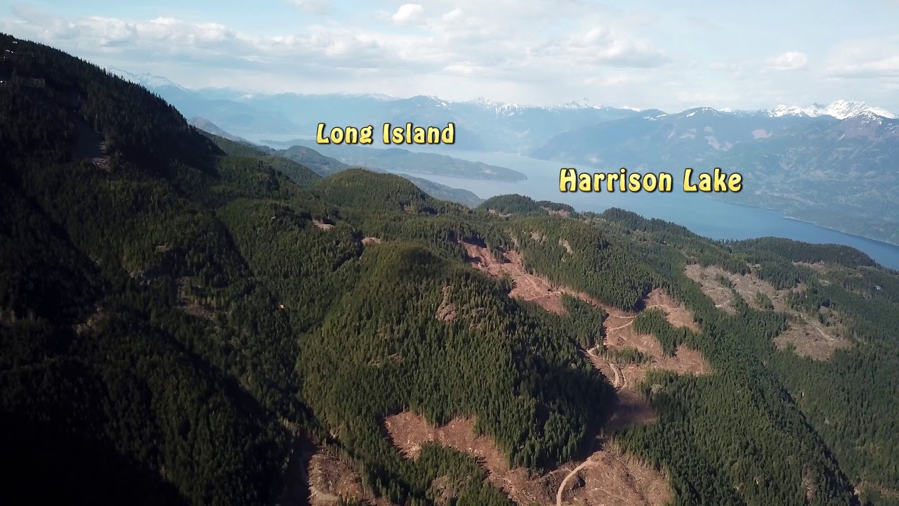 Aerial View for Weaver Lake & Harrison Lake BC Canada May 01,2019 YouTube