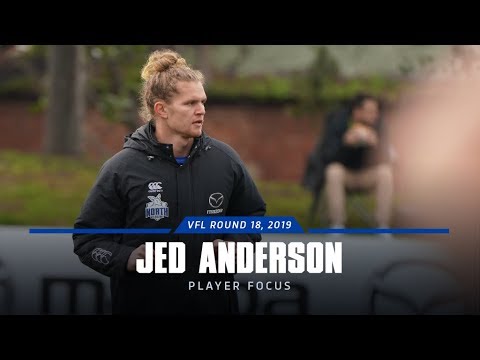 VFL: Jed Anderson - Player Focus (Round 18, 2019) football score
