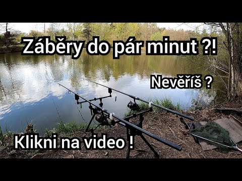 Video: Jak Krmit Duhovky? Jak Krmit Na Jaře V Květnu? Top Dressing Během A Po Odkvětu. Jak Hnojit Během Pučení Pro Svěží Kvetení?