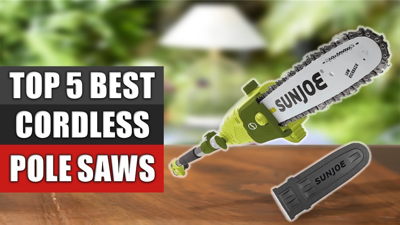 Top 5 Best Cordless Pole Saws Reviews 2022 YouTube