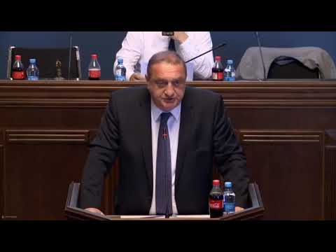 დავით საგანელიძის ანგარიში პარლამენტში