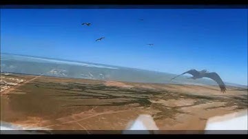 LANYU ASW28 THERMAL FORMATION FLYING WITH KITE HAWK RAPTORS