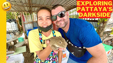 PATTAYA TRAVEL GUIDE Exploring the DARKSIDE