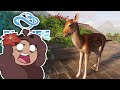 Now We've Even Got FLYING Deer?! 🐺 Planet Zoo: European Alpine DLC • #5