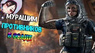 ASMR МУРАШИМ ПРОТИВНИКОВ В ОСАДЕ///ASMR GAMING RAINBOW SIX SIEGE