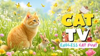 [LIVE FOR 😼] The Best Cat Games EVER - PREVENT Depression for Cats Around The World 🌈 Cat TV 24/7 screenshot 5