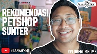 REKOMENDASI PETSHOP DI SUNTER ‼️ PDX - PET  #petshopjakarta #petshopsunter #grebekpetshop