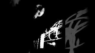 Netinho Solimões/*Flor de rocalle "(Mero detalhe)