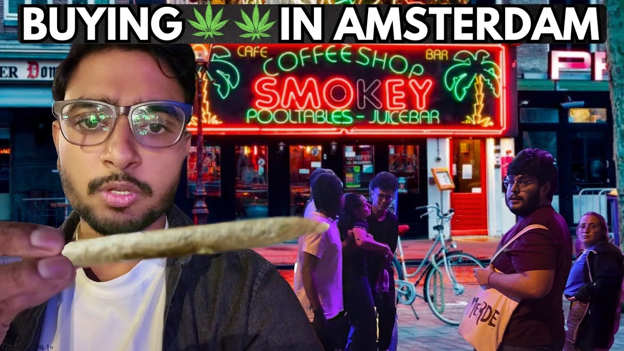 The REAL Amsterdam | Chaos, Scams & Coffee Shops