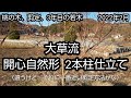 大草流、開心自然形2本柱仕立て、桃の木の剪定、若木、2022年2月