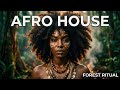DJEMBE AFRO AURA | 🔥 Organic Tribal Sunset Vibes with Djembe Grooves 🌅
