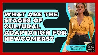 What Are the Stages of Cultural Adaptation for Newcomers | Black Immigration Success Expert News
