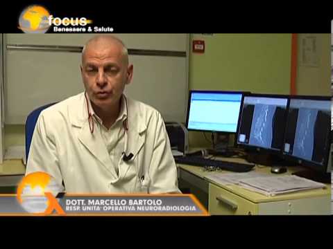 FOCUS DIAGNOSTICA