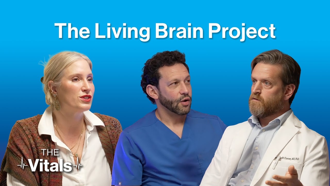 The Vitals | The Living Brain Project