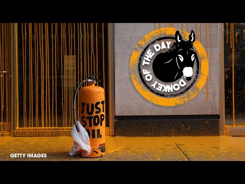 "Just Stop Oil" Climate Protestors Vandalize A Van Gogh In London