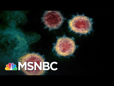 U.S. Coronavirus Death Toll Is Now Higher Than 9/11 Terror Attacks | The 11th Hour | MSNBC