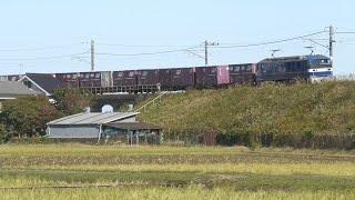 【押桃】EF210-330牽引の鹿島貨物（1094レ）利根川橋梁を通過