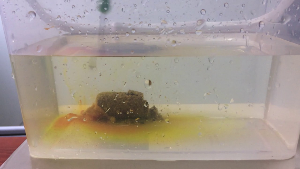 Новый Fluoro Liquid Carp Classic Baits