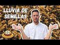 SEMBRANDO Ricino, olivos, flores y abono verde para La Granja🍋 La Granja Ep 52