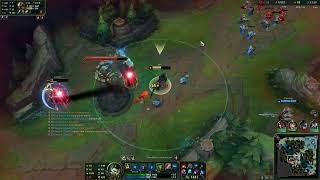 nida pounce bug