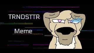 TRNDSTTR Meme