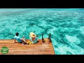 Best Chillout Music 2021 | LOUNGE RELAXING MUSIC | Background Ambient Music for Relax and Study