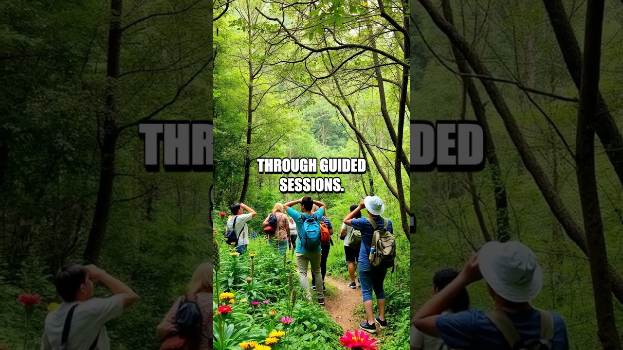 The Transformative Journey of Ecotherapy for Mental Clarity