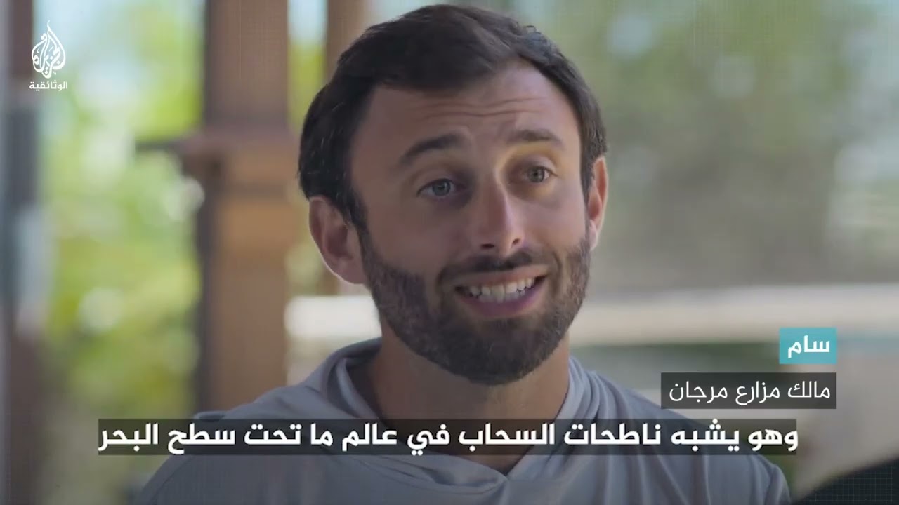 كيف تحمينا الشعاب المرجانية؟