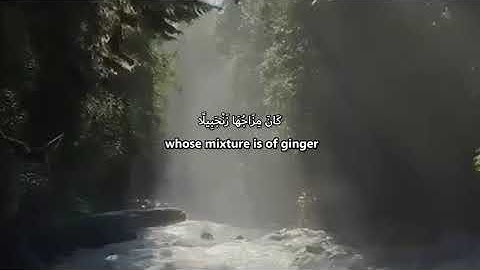 Surah Insan | Sheikh Hassan Issa | سورة إنسان الشيخ حسن عيسى