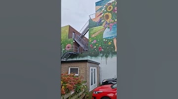 🇳🇱 Flower mural Waddinxveen @TravelwithHugoF #streetart #Waddinxveen #mural